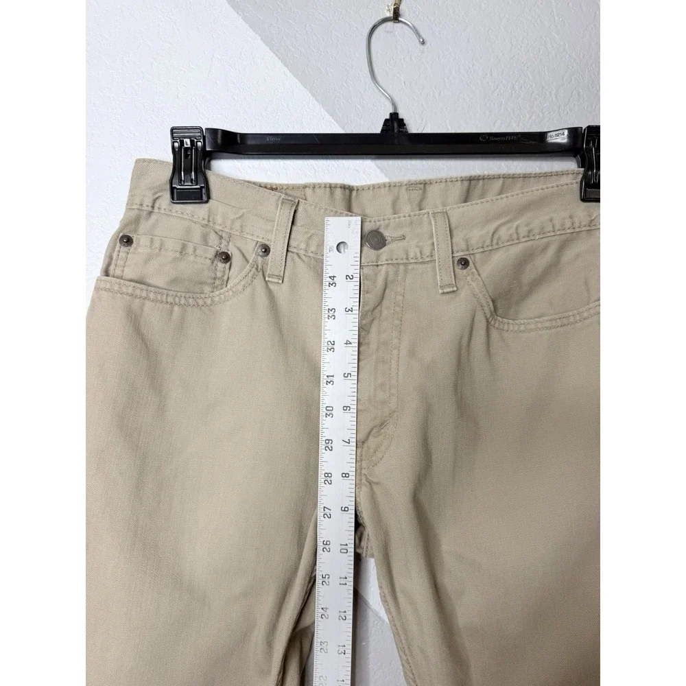 Levis levi 559